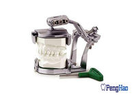 Гибкий &amp; разносторонний зубоврачебный магнитный сочленитель без гипсолита потребности